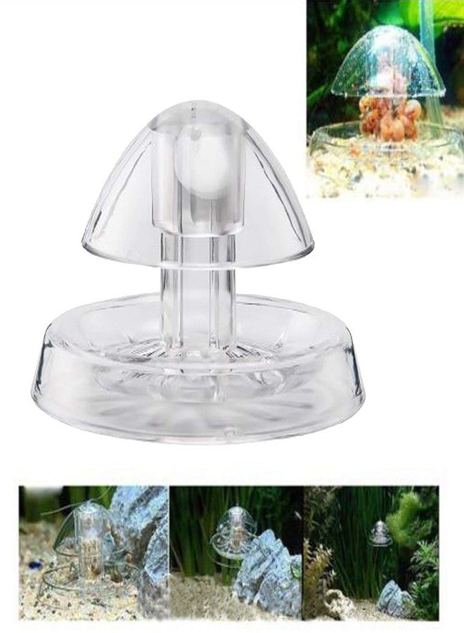 Besimple 3Pcs Transparent Snail Trap, Plastic Aquarium Snail Catcher with Fishing Line for Aquarium Fish Tank - Image 4